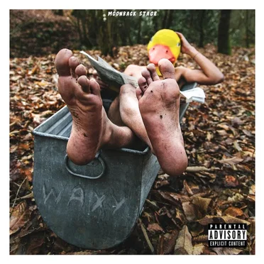 Waxy by Moonback Stage - album cover