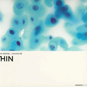 Sound Identity, Volume 2 - THIN by Various Artists - album cover