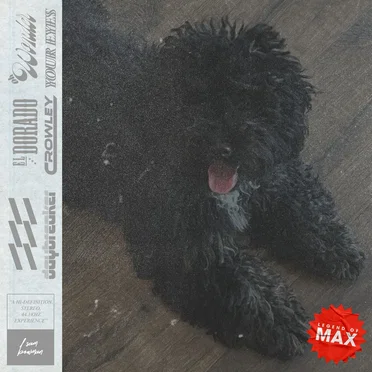 Legend of Max