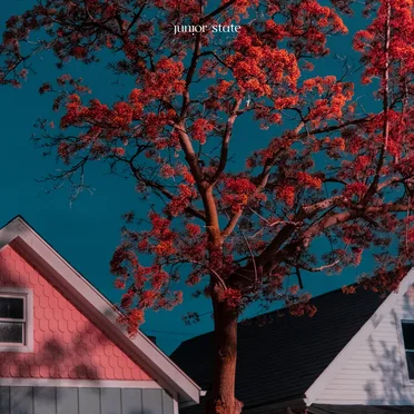 Have I Told You by junior state - album cover