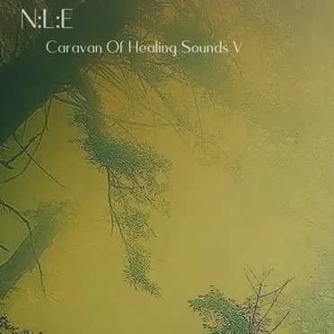 Caravan Of Healing Sounds V