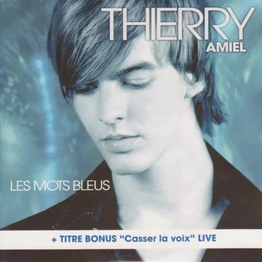 Les Mots bleus by Thierry Amiel - album cover