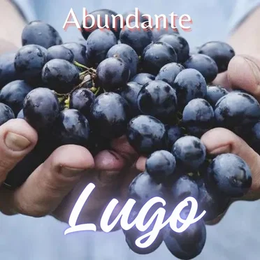 Abundante by Lugo - album cover