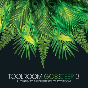 Toolroom Goes Deep 3 by Various Artists - album cover