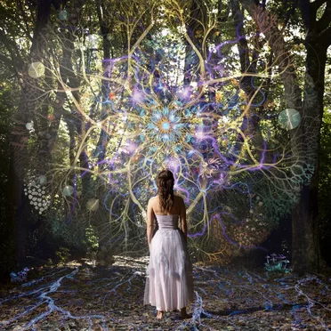 Patterns of Remedy by Calla - album cover