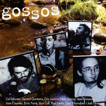 Directament by Gossos - album cover