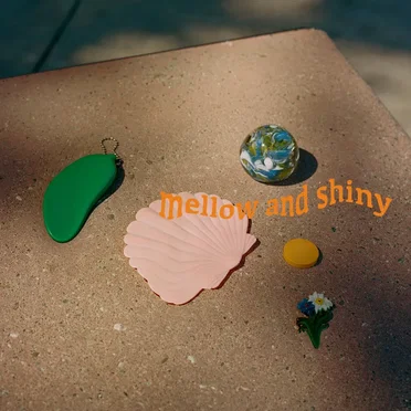 Mellow and Shiny by Conflict at Serenity Pools - album cover