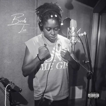 Birds (live)