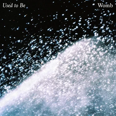 Used to Be by Womb - album cover