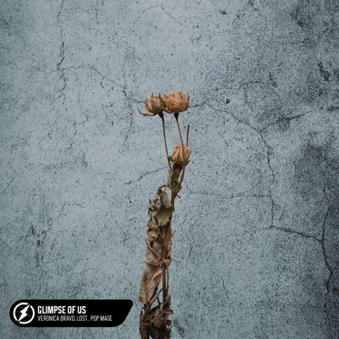 Glimpse of Us (acoustic)