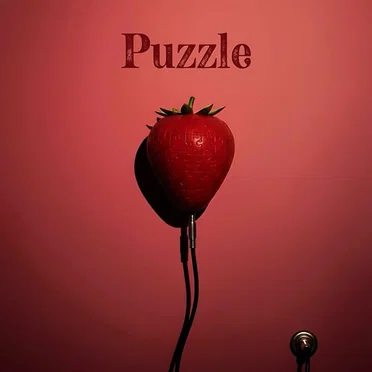 Puzzle by 変な人 - album cover
