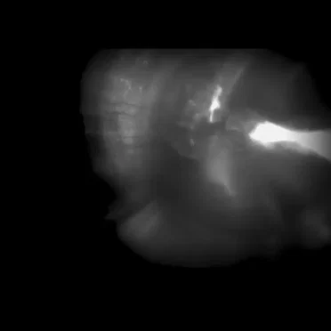 Atlético Nasa / Dos vidas