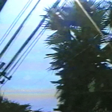 DAYLIGHT