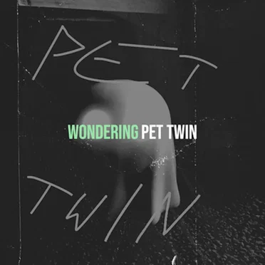 Wondering by Pet Twin - album cover