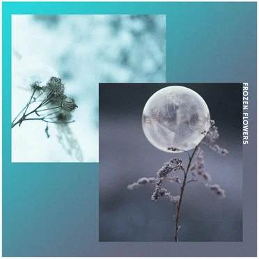 Frozen Flowers
