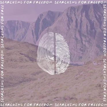 SFF_Demos (Demo Version)