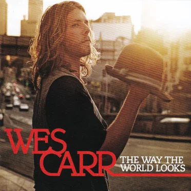 The Way the World Looks