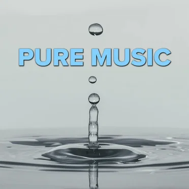 Pure Music by Various Artists - album cover