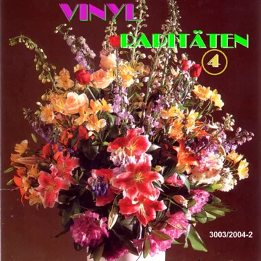 Vinyl Raritäten 04 by Various Artists - album cover
