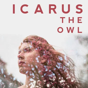 Rearm Circuits by Icarus The Owl - album cover
