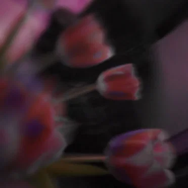 SUEDE