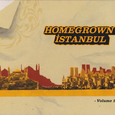 Homegrown İstanbul, Volume 1 by Various Artists - album cover