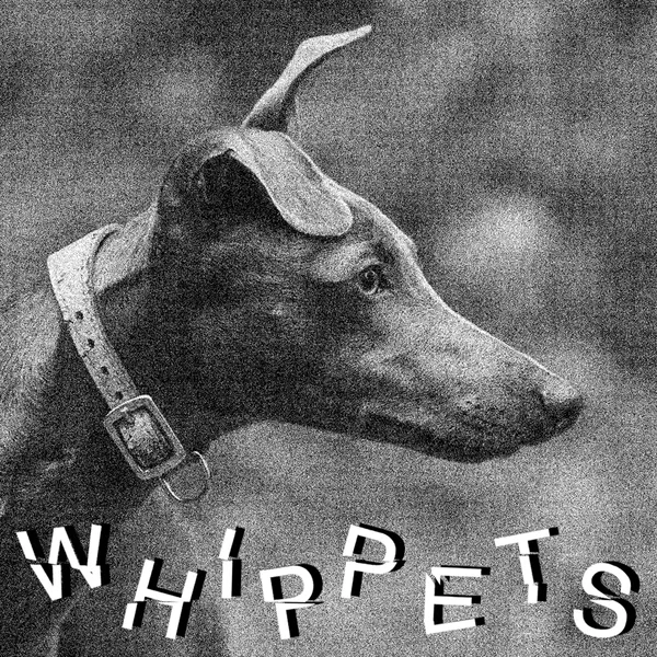 WHIPPETS