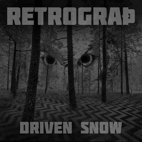 Driven Snow