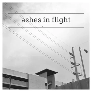 Ashes in Flight by Adeem the Artist - album cover