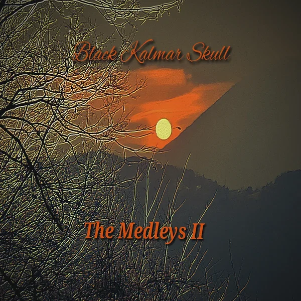 The Medleys II