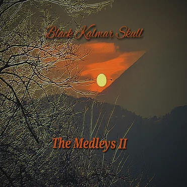 The Medleys II