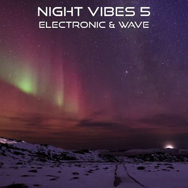 Night Vibes 5 by Various Artists - album cover