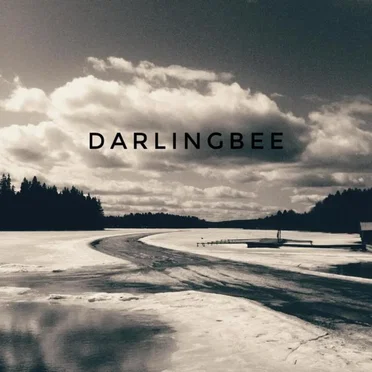 Darlingbee by Darlingbee - album cover