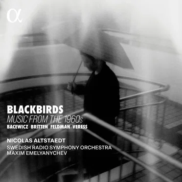 Blackbirds