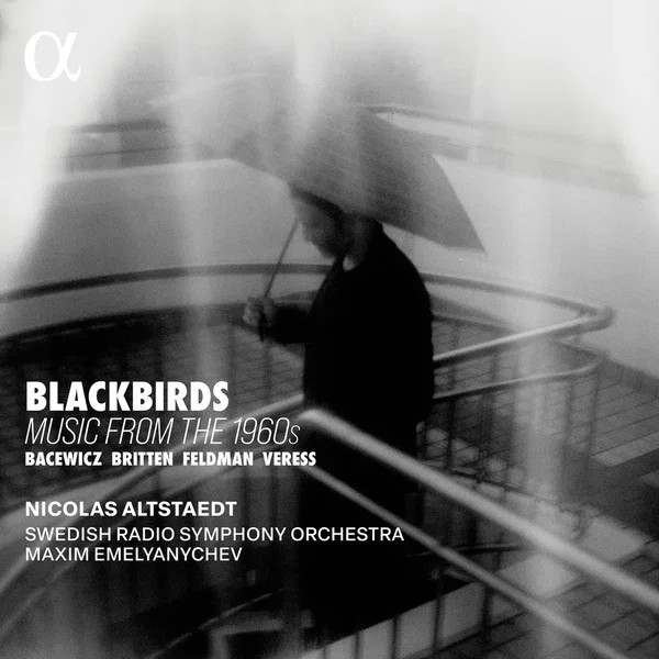 Blackbirds