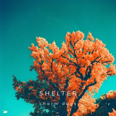 Shelter by Charm Days - album cover