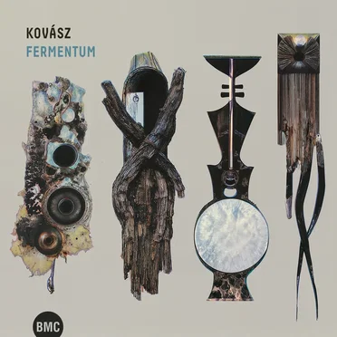 Fermentum
