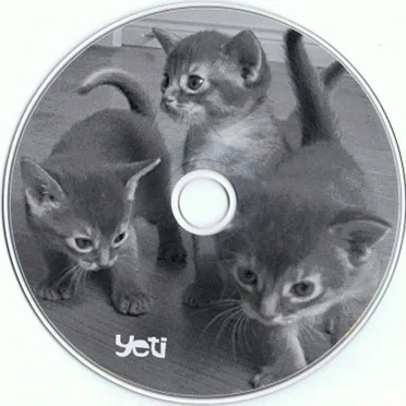 Yeti Ten by Various Artists - album cover