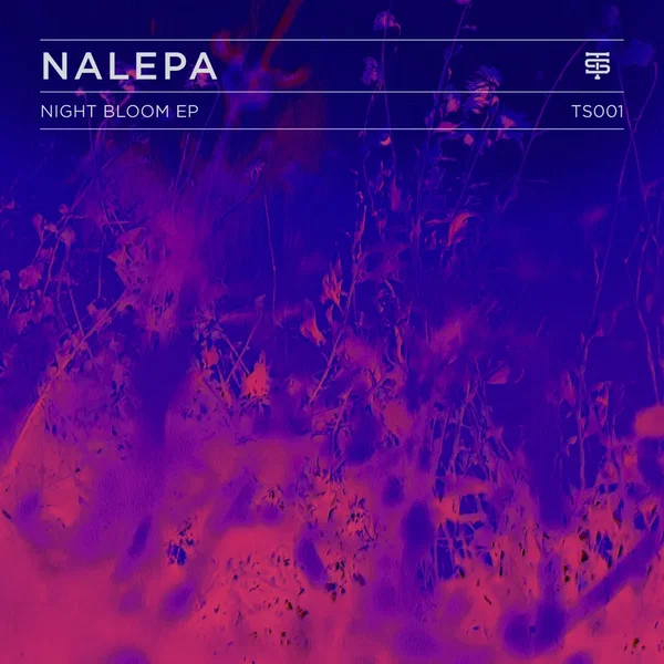 Night Bloom EP