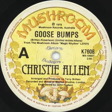 Goose Bumps by Christie Allen - album cover