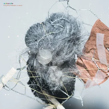 X‐3 (Knuckleheads in Space)