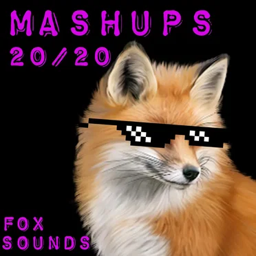 MASHUPS 20/20
