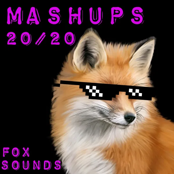 MASHUPS 20/20