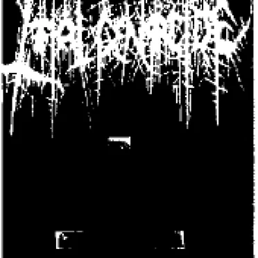 Anti-human 6 6 6