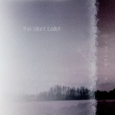 The Silent Ballet, Volume XI: Wenn Ich Ein Eisbär Wäre by Various Artists - album cover