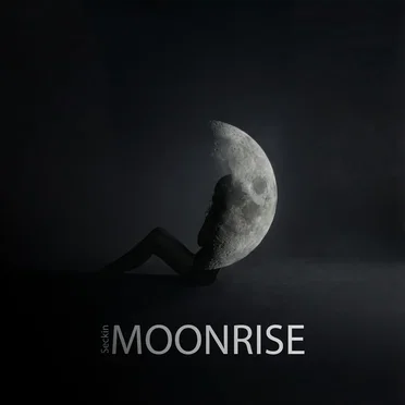 Moonrise by Seckin - album cover