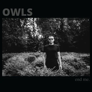 You Bleed Me by OWLS - album cover