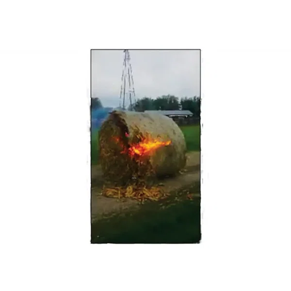 pumpkin patch