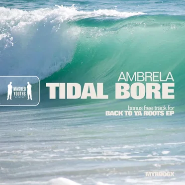 Tidal Bore