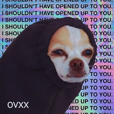 i shouldn't have opened up to you